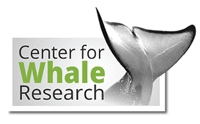 Center for Whale Research