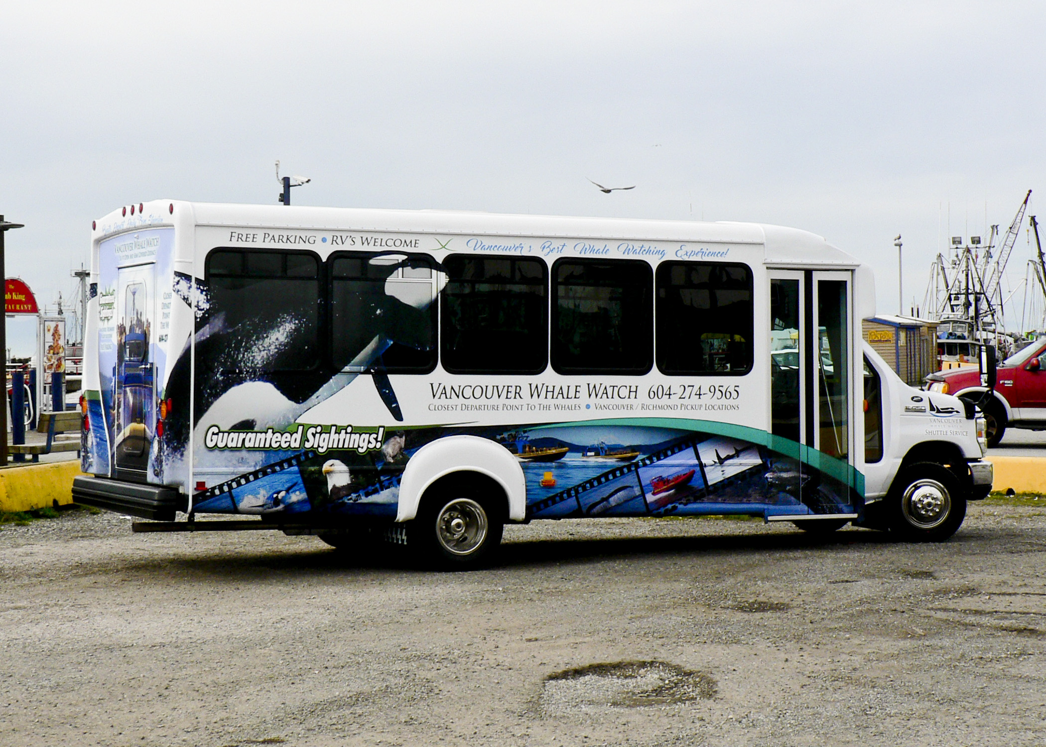 Vancouver Whale Watching Shuttle