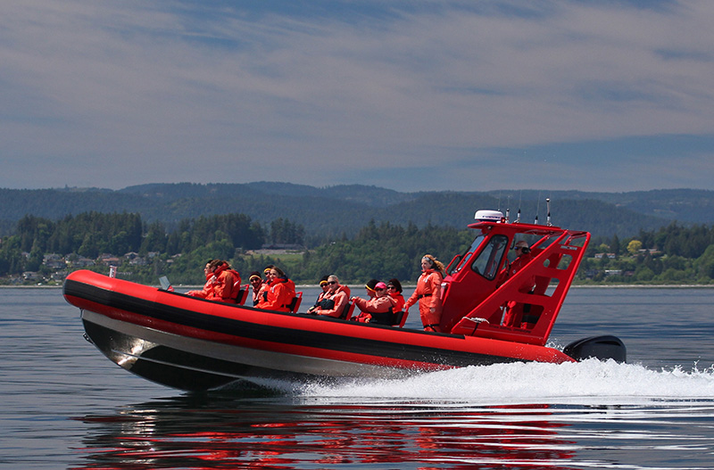 Small Zodiac Tours