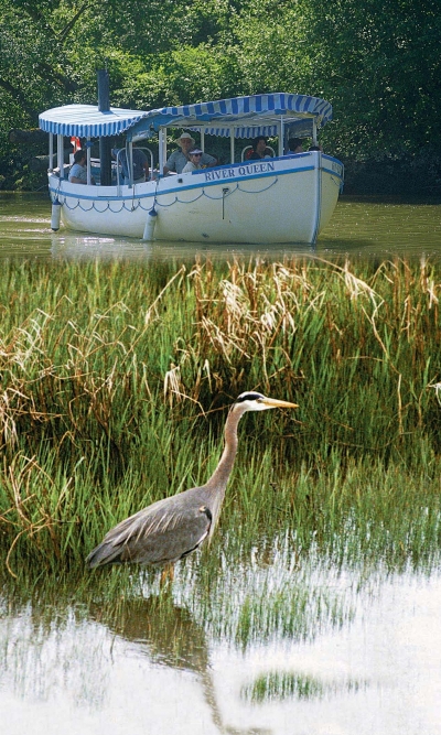 98a9676f-08f8-4bc2-9ecc-cfcd5124e2d2 River Queen with Heron
