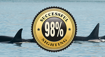 98% Sighting Rate 98% Sighting Rate