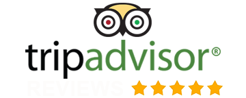 tripadvisorReviews
